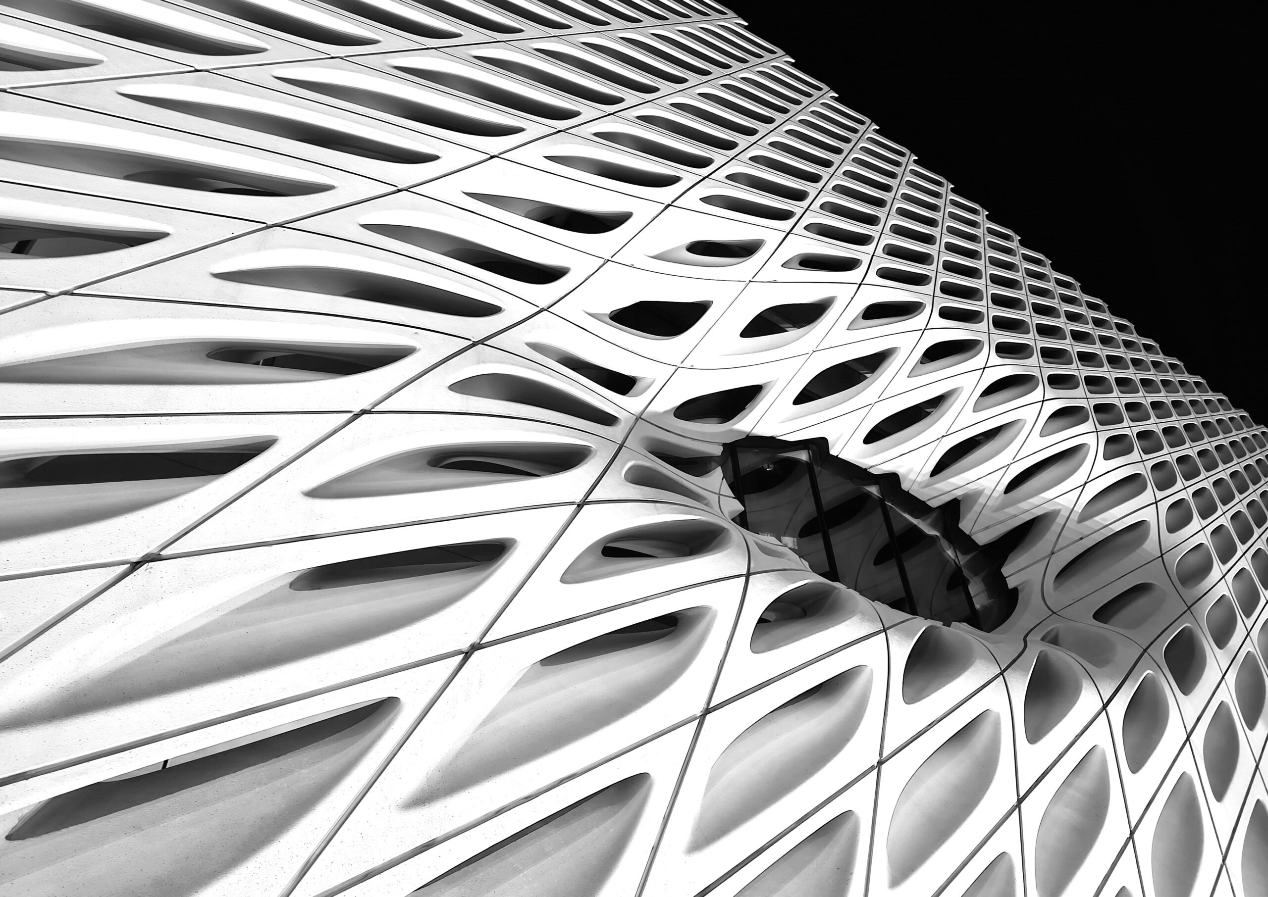 Black & White Photography