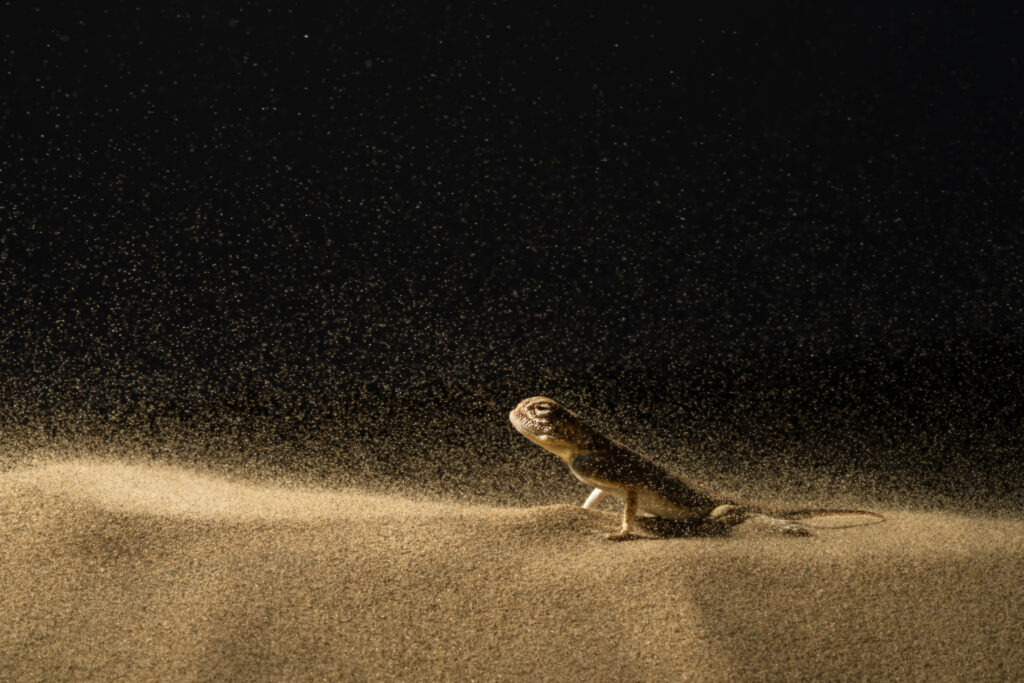 Against the Storm
